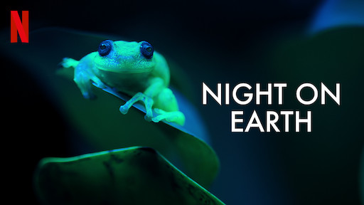 Night on Earth